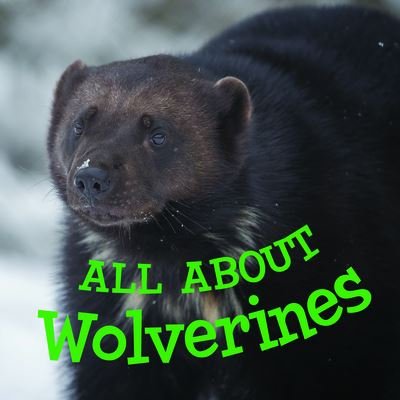 Cover for Jordan Hoffman · All about Wolverines: English Edition - Nunavummi Reading Series (Paperback Book) [English edition] (2020)