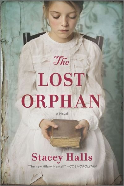 Cover for The lost orphan (Paperback Book) (2020)