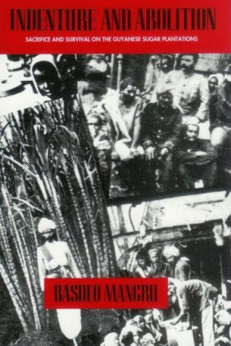 Cover for Basdeo Mangru · Indenture and Abolition: Sacrifice and Survival on the Guyanese Sugar Plantations (Paperback Book) (1993)