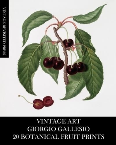 Cover for Vintage Revisited Press · Vintage Art (Taschenbuch) (2024)