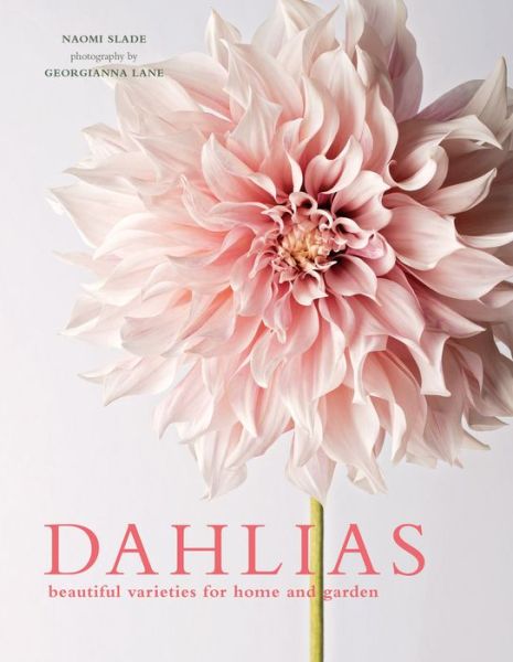 Cover for Naomi Slade · Dahlias (Bog) (2018)