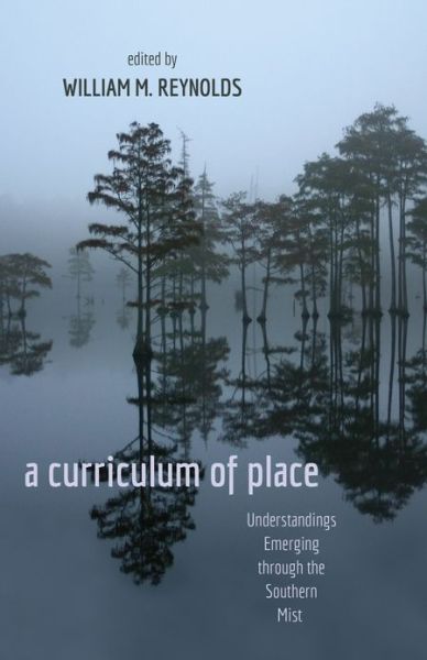 Cover for A Curriculum of Place: Understandings Emerging Through the Southern Mist - Counterpoints (Paperback Book) [New edition] (2013)