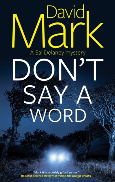 Cover for David Mark · Don't Say a Word - A Sal Delaney mystery (Hardcover Book) [Main edition] (2025)