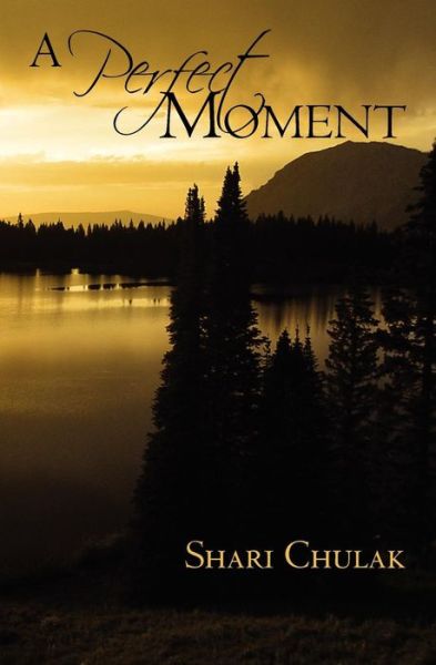 Cover for Shari Chulak · A Perfect Moment (Paperback Book) (2011)