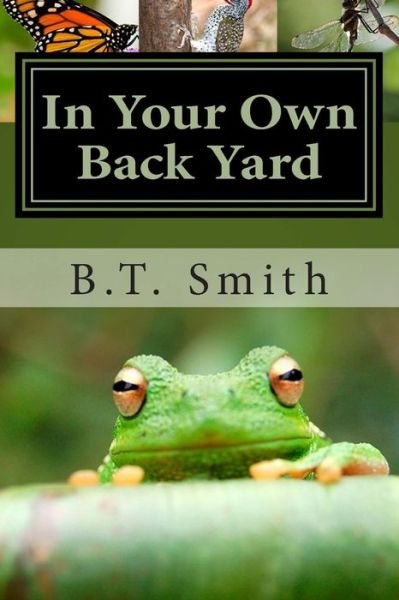 Cover for B T Smith · In Your Own Back Yard: Birds, Bees and Flys - Oh My! (Paperback Book) (2014)