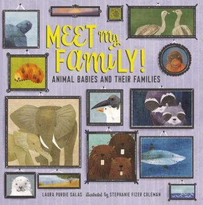 Meet my family! animal babies and their families - Laura Purdie Salas - Books - Millbrook Press - 9781512425321 - March 1, 2018