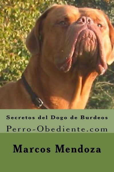 Cover for Marcos Mendoza · Secretos del Dogo de Burdeos (Paperback Book) (2016)