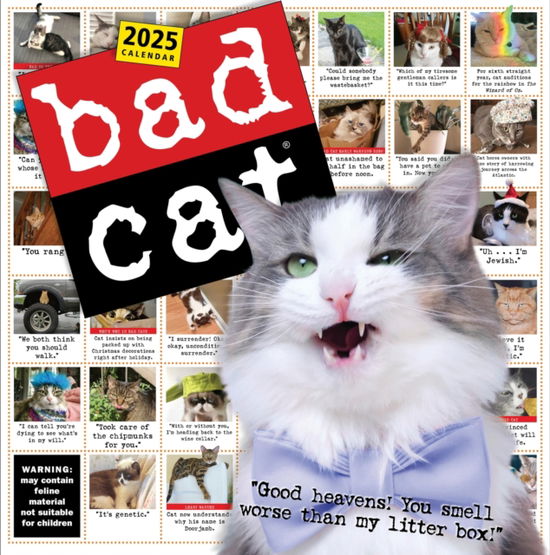 Bad Cat Wall Calendar 2025: Celebrating the Misfits of the Feline World - Harry Prichett - Fanituote - Workman Publishing - 9781523526321 - torstai 8. elokuuta 2024