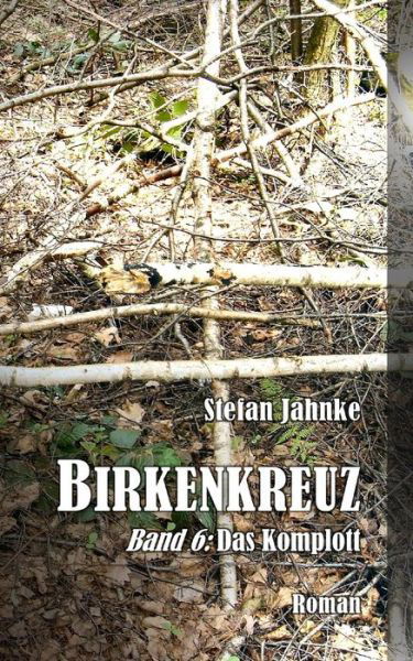 Cover for Stefan Jahnke · Birkenkreuz 6 (Paperback Book) (2017)