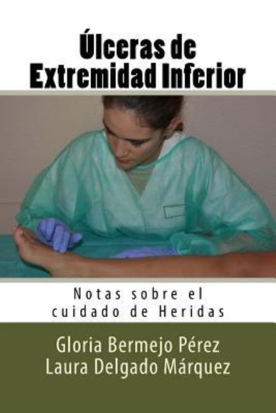 Cover for Gloria Bermejo Perez · Ulceras de Extremidad Inferior (Paperback Book) (2016)