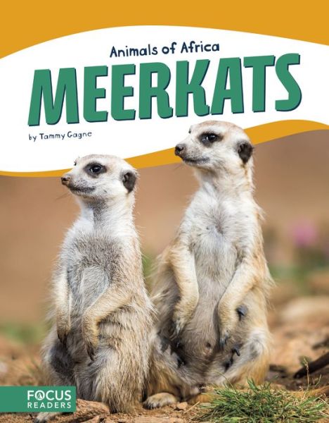 Cover for Tammy Gagne · Animals of Africa: Meerkats (Paperback Book) (2017)