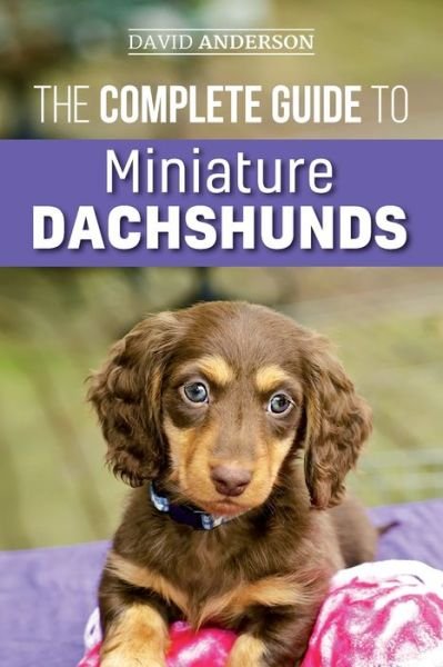 Cover for David Anderson · The Complete Guide to Miniature Dachshunds (Pocketbok) (2018)