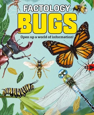 Factology: Bugs: Open Up a World of Information! - Factology -  - Books - Button Books - 9781787081321 - August 8, 2023