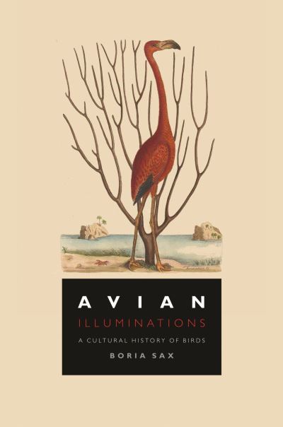 Cover for Boria Sax · Avian Illuminations: A Cultural History of Birds (Gebundenes Buch) (2021)