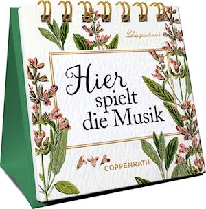 Cover for Hier spielt die Musik (Book) (2024)