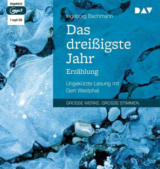 Das dreißigste Jahr - Ingeborg Bachmann - Muziek - Der Audio Verlag - 9783742413321 - 