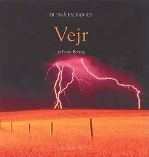 Cover for Peter Bering · De små fagbøger: Vejr (Heftet bok) [1. utgave] (2004)