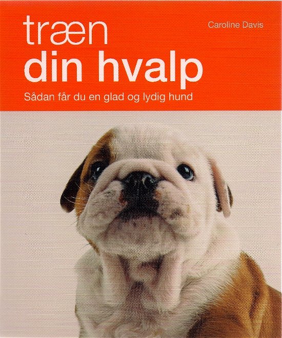 Cover for Caroline Davis · Træn din hvalp (Bound Book) [1e uitgave] [Indbundet] (2010)