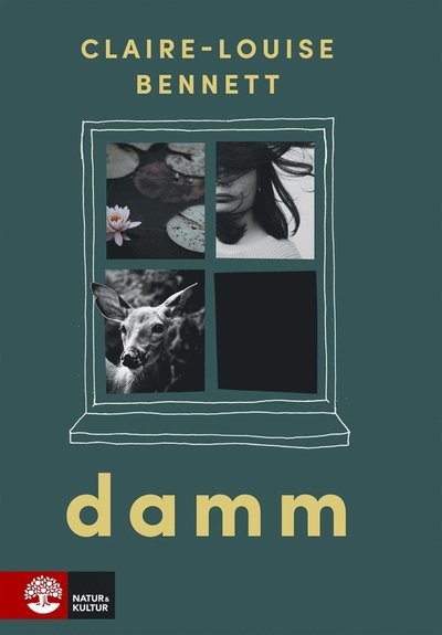Cover for Claire-Louise Bennett · Damm (ePUB) (2019)
