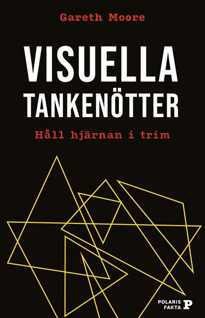 Visuella tankenötter : Håll hjärnan i trim - Gareth Moore - Livres - Bokförlaget Polaris - 9789177958321 - 1 juin 2022