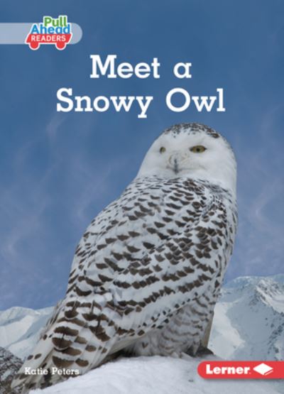 Cover for Katie Peters · Meet a Snowy Owl (Book) (2024)