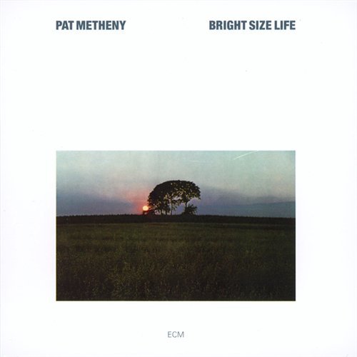 Cover for Pat Metheny · Bright Size Life (CD) (2000)