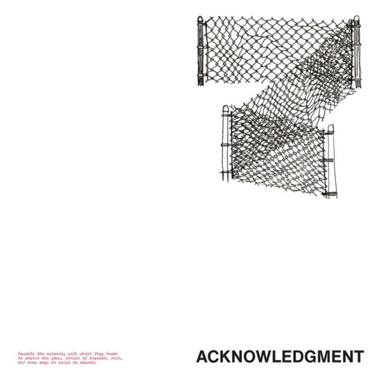 Acknowledgement - Mark Trecka - Muzyka - WHITED SEPULCHRE RECORDS - 0198000184322 - 28 maja 2021