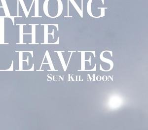 Among the Leaves - Sun Kil Moon - Muziek - LOCAL - 0634457563322 - 1 juni 2012
