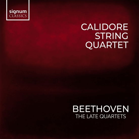 Beethoven: the Late Quartets - Calidore String Quartet - Musiikki - SIGNUM CLASSICS - 0635212073322 - perjantai 3. maaliskuuta 2023