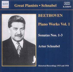 Piano Sonatas Vol.1 - Ludwig Van Beethoven - Musiikki - NAXOS - 0636943169322 - maanantai 2. joulukuuta 2002
