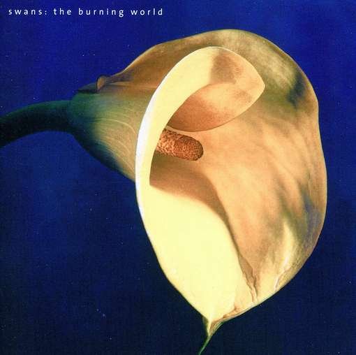 Burning World - Swans - Muziek - WATER - 0646315725322 - 23 april 2012