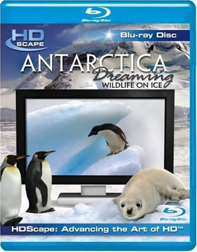 Cover for Hd Scape · Antarctica Dreaming - Wildlife on ice [BLU-RAY] (DVD) (2024)
