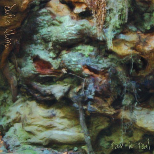 Cover for Dali's Llama · Raw is Real (CD) (2009)