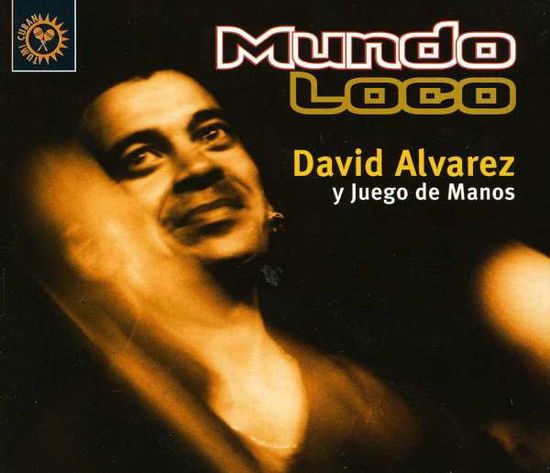 Mundo Loco - David Alvarez - Music - TUMI MUSIC - 0723723838322 - July 10, 2020