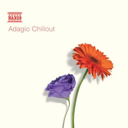 Adagio Chillout - Adagio Chillout / Various - Musiikki - NAXOS - 0730099678322 - maanantai 1. syyskuuta 2003