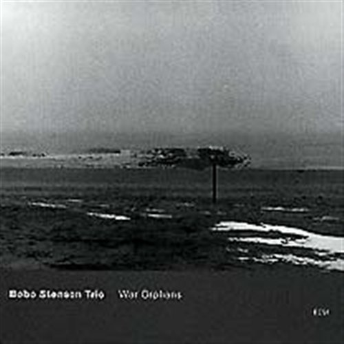 Cover for Stenson Bobo Trio · Bobo Stenson Trio - War Orphans (CD) (2000)