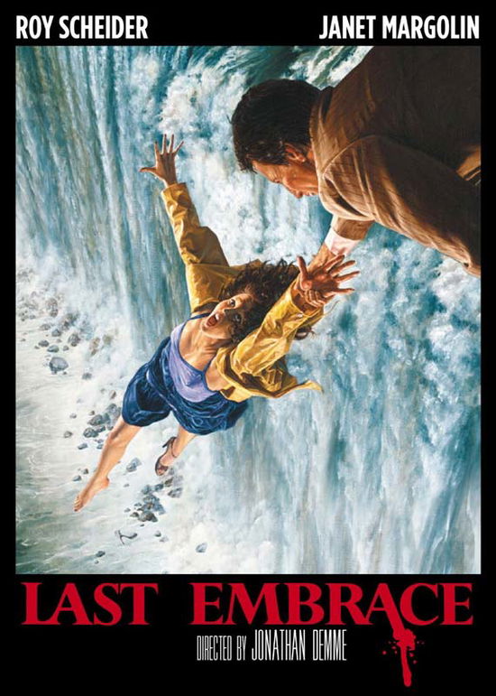 Cover for Last Embrace (DVD) (2014)