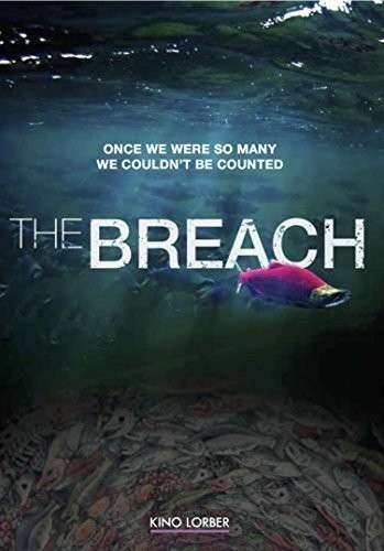 Cover for Breach (DVD) (2015)