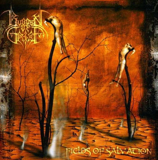 Fields of Salvation - Burden Of Grief - Musikk - Cleopatra Records - 0741157064322 - 2. juli 2013