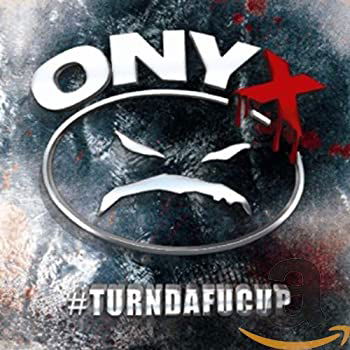 Turndafucup - Onyx - Musikk - CLEOPATRA RECORDS - 0741157176322 - 28. juli 2014