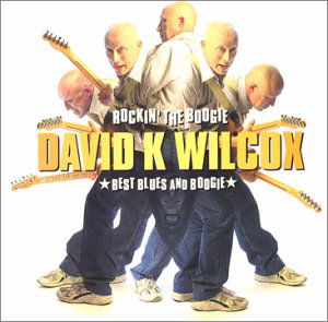 Best Blues and Boogie - David Wilcox - Musikk - BLUES - 0772532128322 - 14. mars 2019