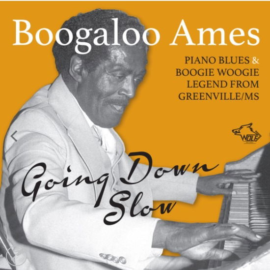 Cover for Ames Boogaloo · Going Down Slow (CD) (2023)