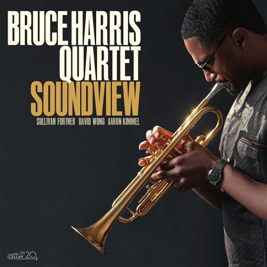 Cover for Bruce Harris · Soundview (CD) (2021)
