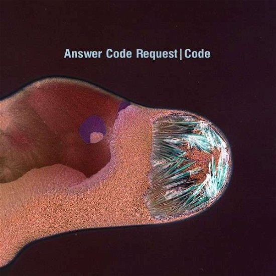 Cover for Answer Code Request · Code (CD) (2014)