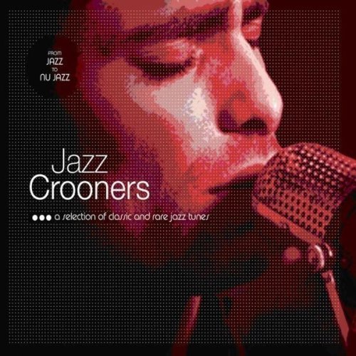 From Jazz to Nu Jazz - Jazz Crooners. - Musik - WAGRAM - 3596971296322 - 25. März 2008