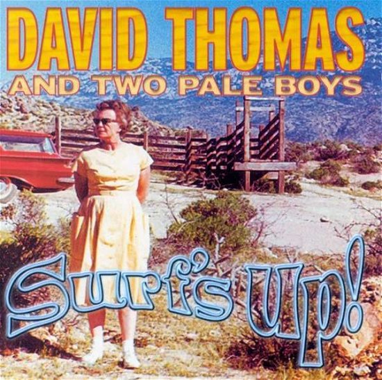 Cover for David Thomas · Surf's Up (CD) (2001)
