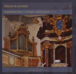 Orgeln in Sachsen - Jurgen Rieger / Various - Música - QST - 4025796006322 - 20 de julho de 2007
