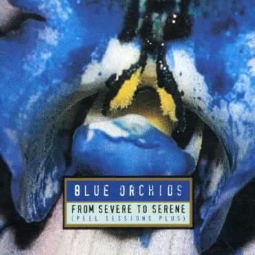 Cover for Blue Orchids · From to Severe to Serene (CD) (2009)