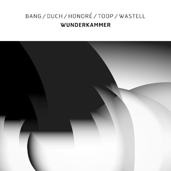 Cover for Bang, Duch, Honore, Toop, Wastell · Wunderkammer (LP) (2024)