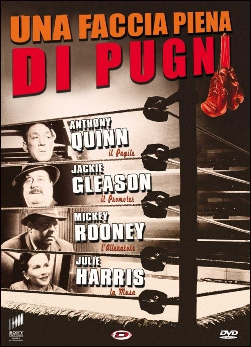 Cover for Ralph Nelson · Una Faccia Piena Di Pugni Dvd Italian Import (DVD) (2016)